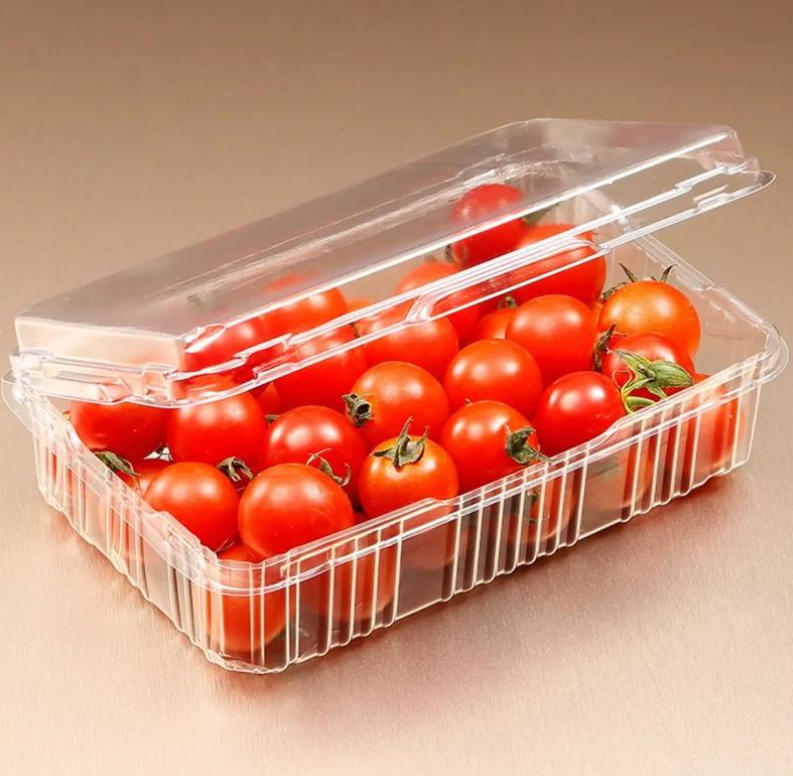 Ruisu Machinery — надежный в мире партнер по термоформованию!