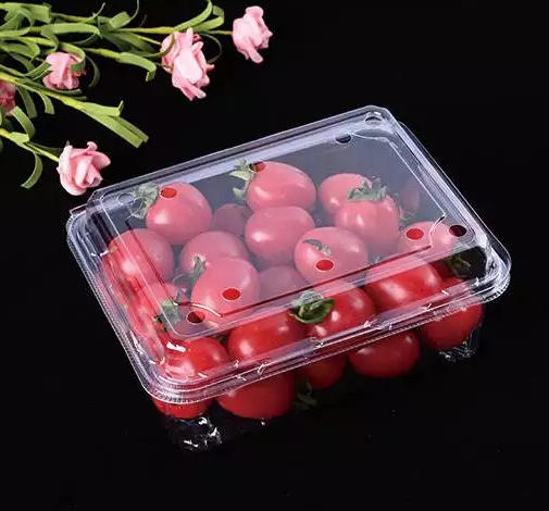 Ruisu Machinery — надежный в мире партнер по термоформованию!